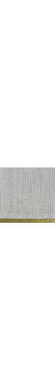 50cm de toile à plastron poids moyen